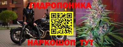 герыч Дубна