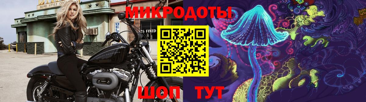 Псилоцибиновые грибы GOLDEN TEACHER Гурьевск